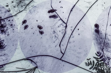 ehri sam obrazek.png