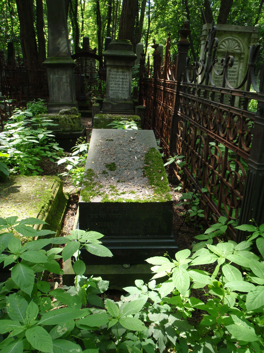 Grob_Izaaka_Cylkowa-Grave_of_Izaak_Cylkow.JPG