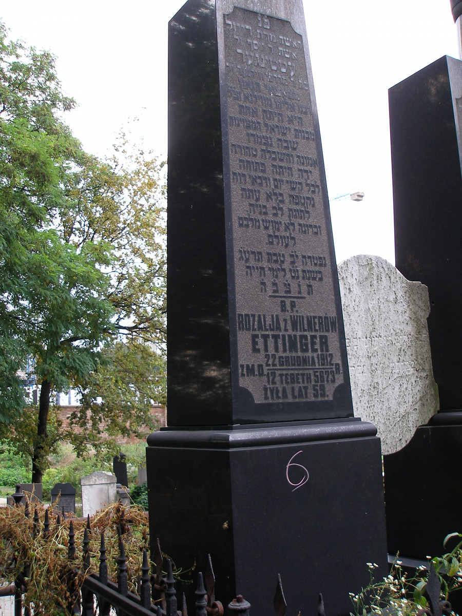 kopaliński_rozalia_ettinger_okopowa_cemetery_jewish.jpg [458.39 KB]