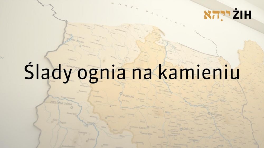 budynek_film_podloga_2.jpg