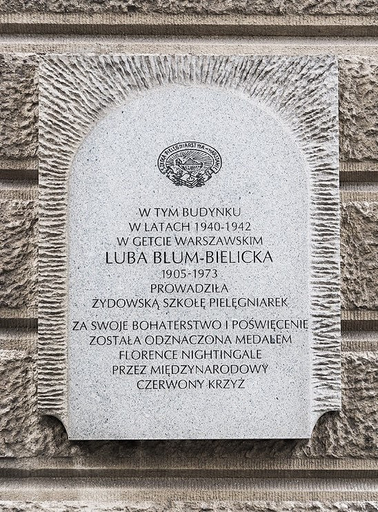 tablica Szkoła Pielęgniarstwa.jpg [205.89 KB]