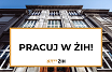 Grafiki na stronę(5).png