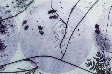 Zrzut ekranu 2025-10-27 152112.png