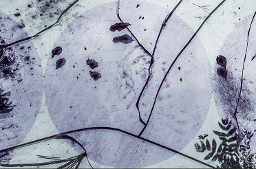 Zrzut ekranu 2025-10-27 152112.png