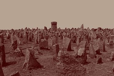 ZIH – Treblinka_2025 – grafika-formularz – 17-07-2025 820x360.jpg