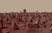 ZIH – Treblinka_2025 – grafika-formularz – 17-07-2025 820x360.jpg