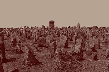 ZIH – Treblinka_2025 – grafika-formularz – 17-07-2025 820x360.jpg