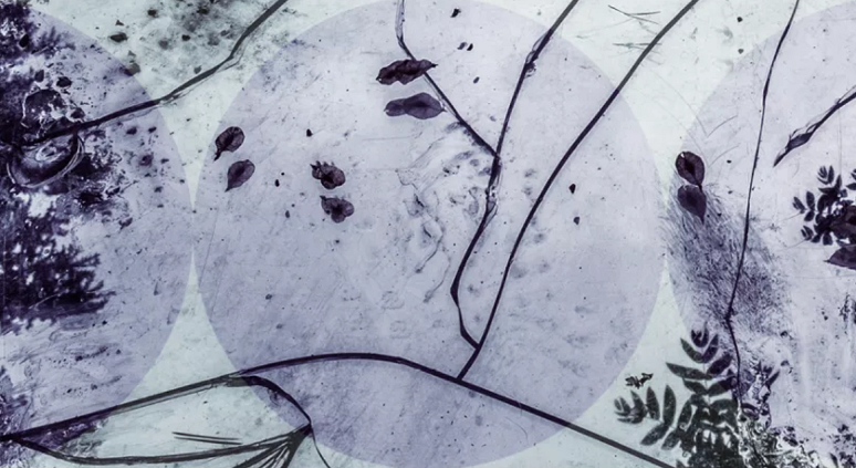 ehri sam obrazek.png