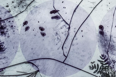 ehri sam obrazek.png