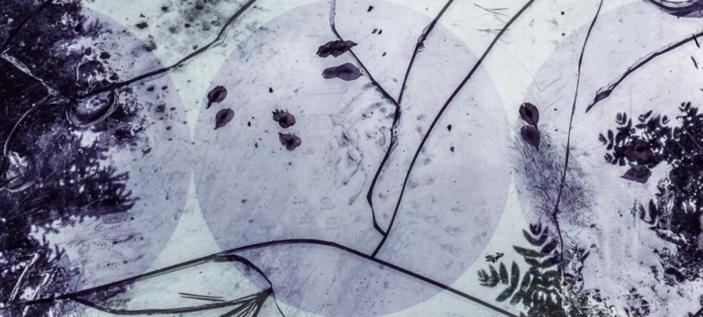 ehri sam obrazek.png