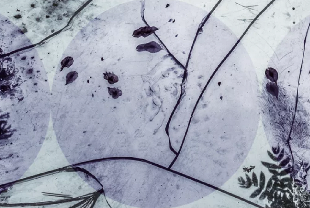 ehri sam obrazek.png