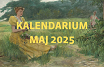 Grafiki na stronę(3).png