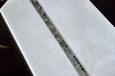 IMG_5951.JPEG