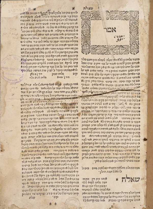 Bendowska_fot. 1.jpeg [406.93 KB]